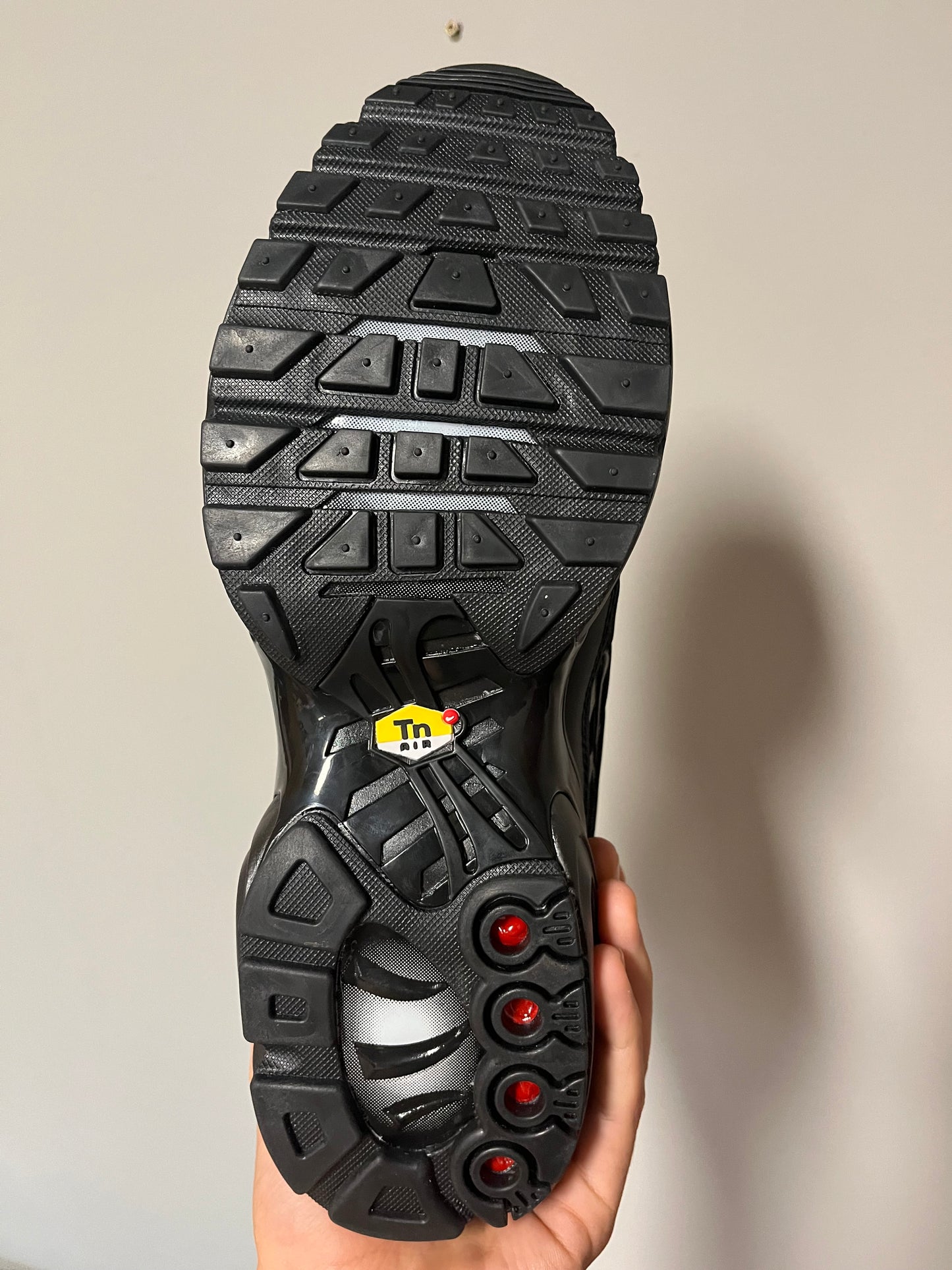 Nike TN Negras