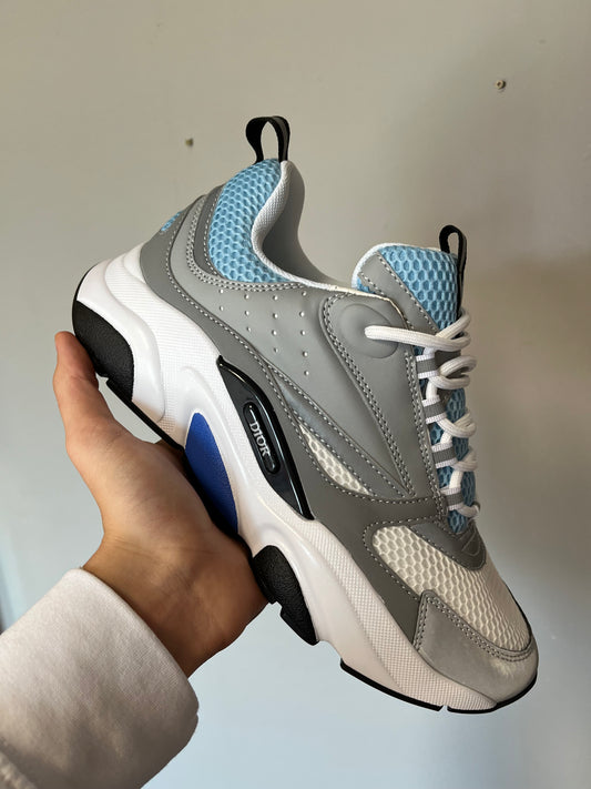 Dior B22 Grises