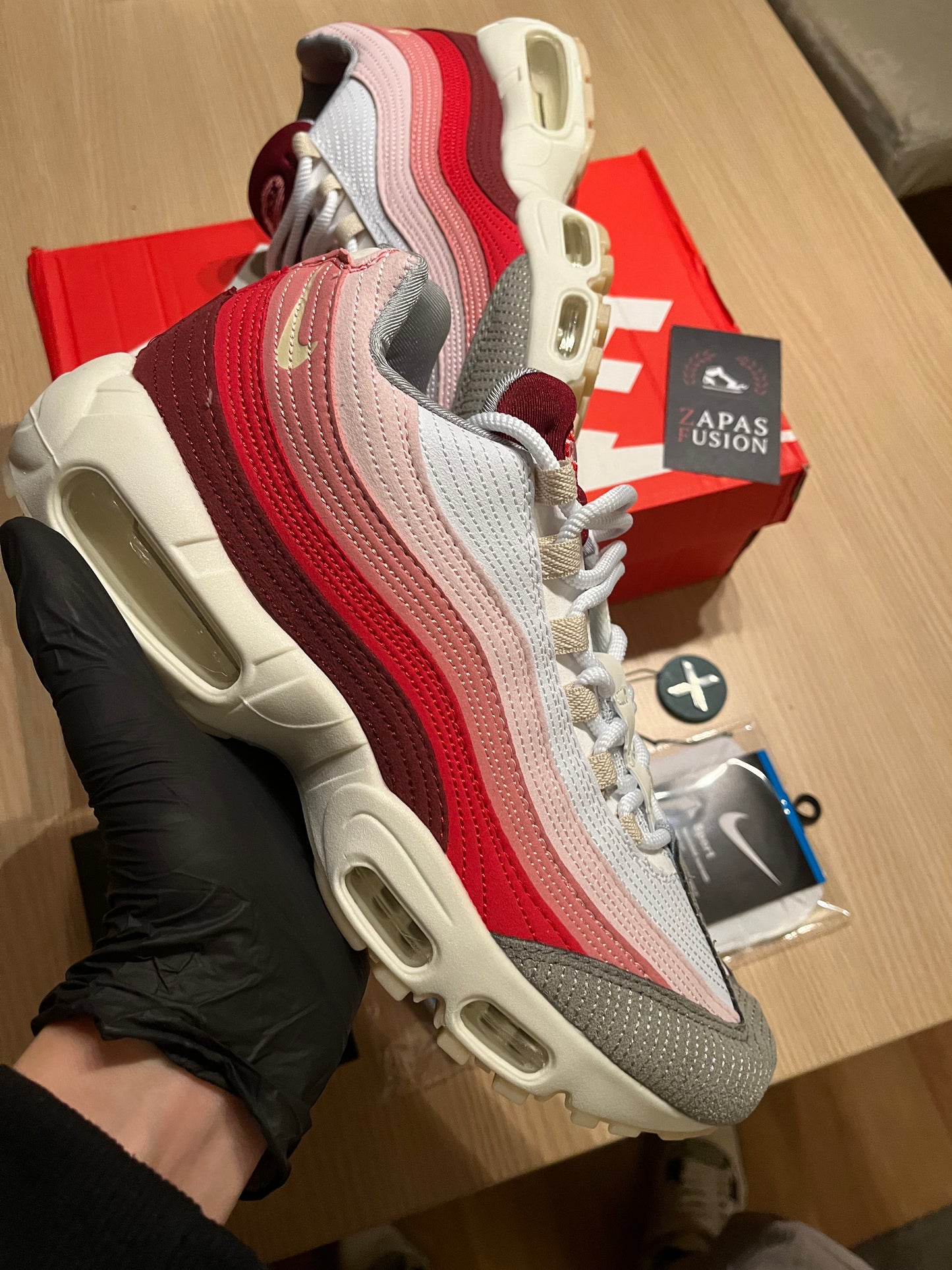 Air Max 95 Anatomy of Air