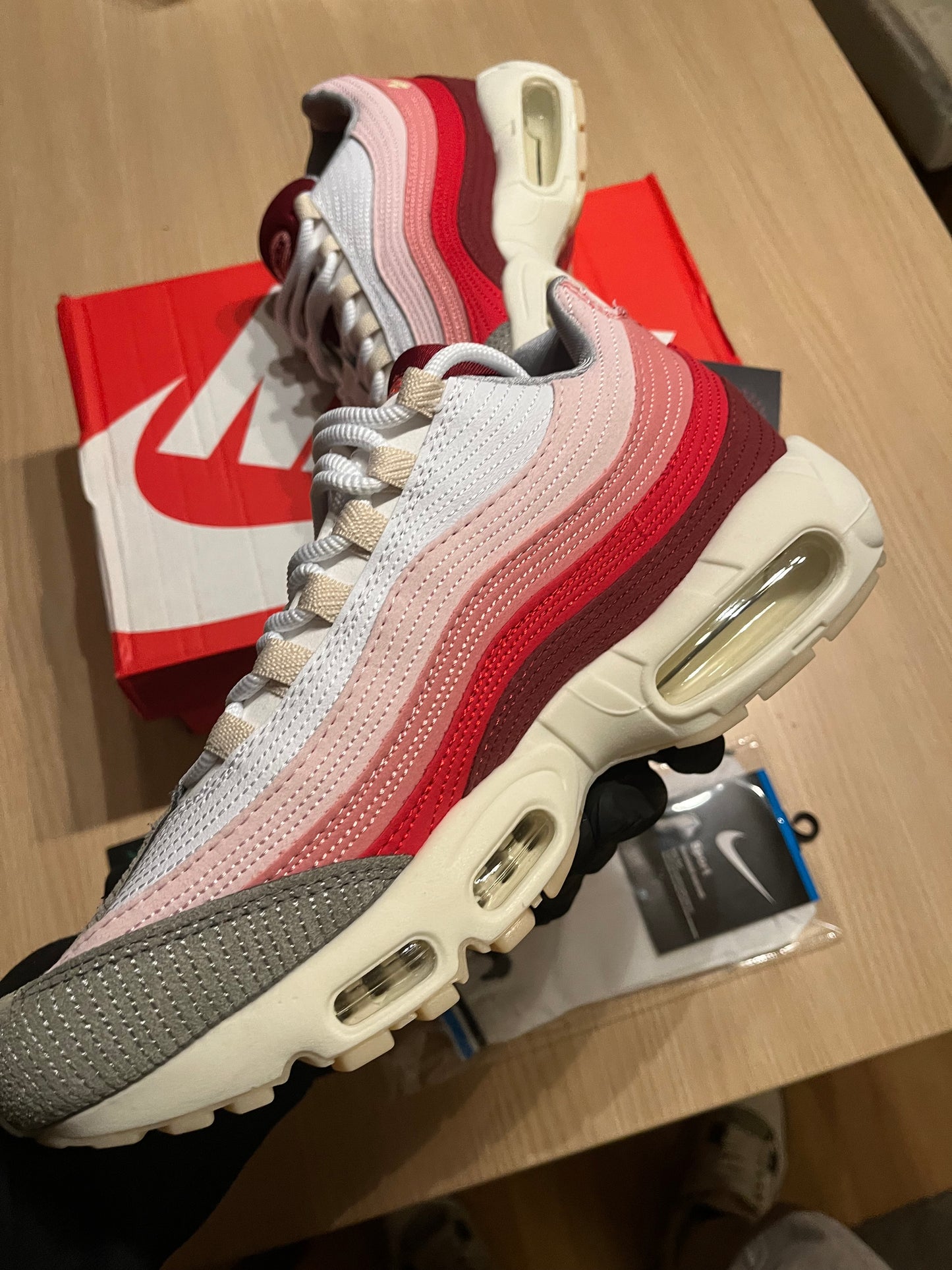Air Max 95 Anatomy of Air