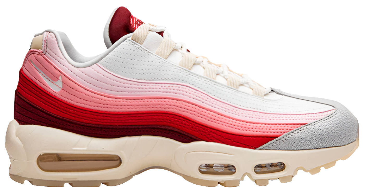 Air Max 95 Anatomy of Air