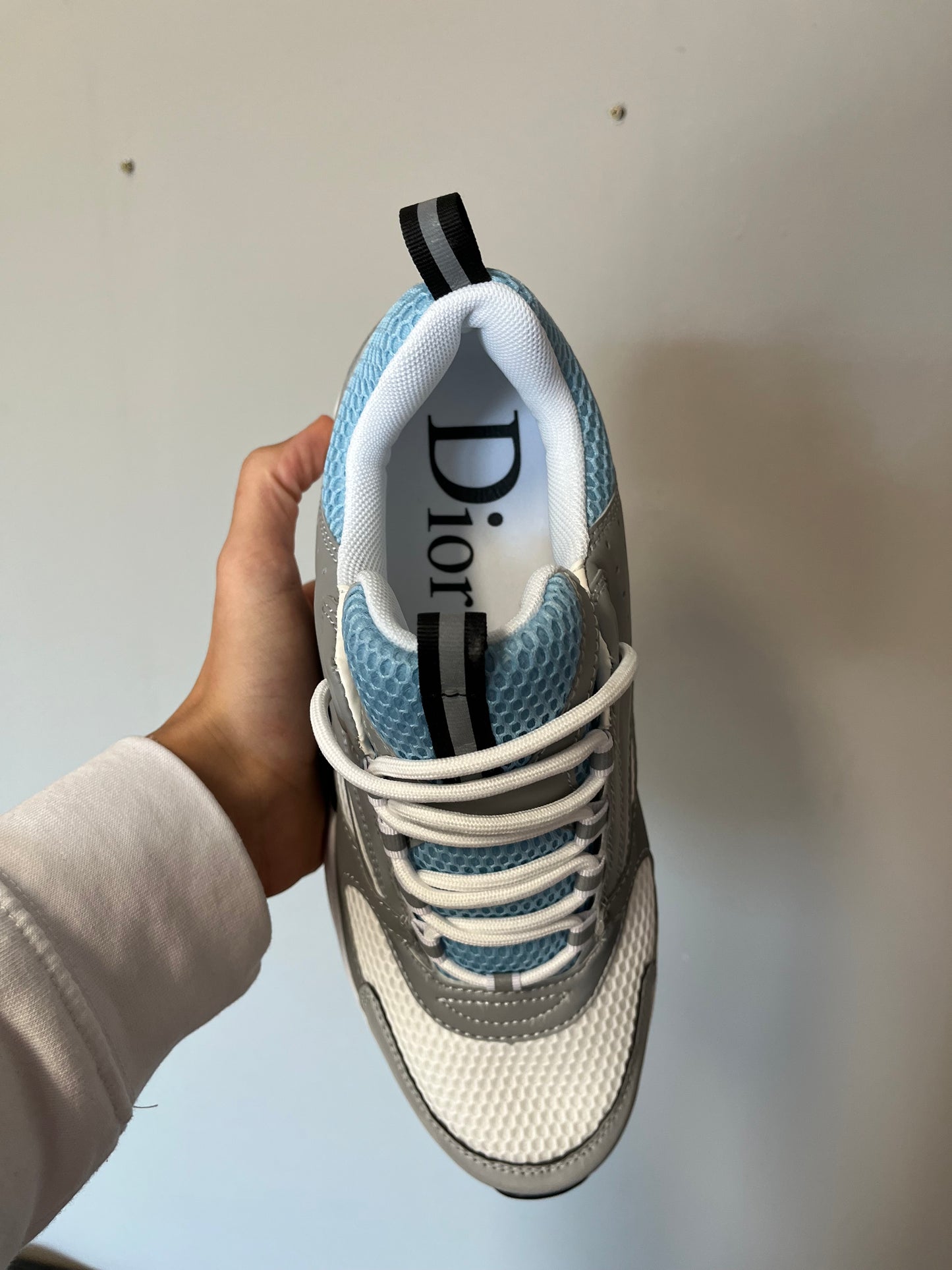 Dior B22 Grises