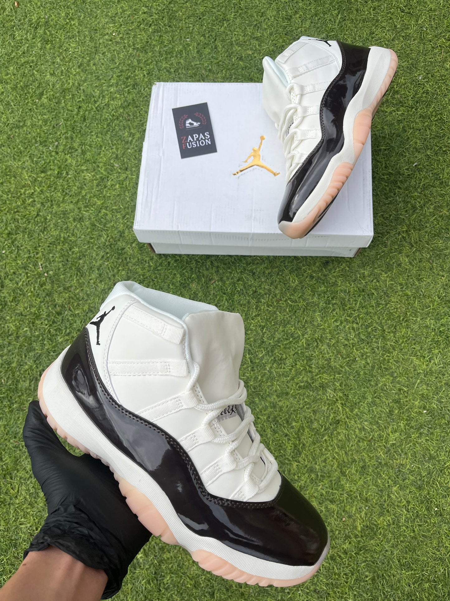 Jordan 11 Concord