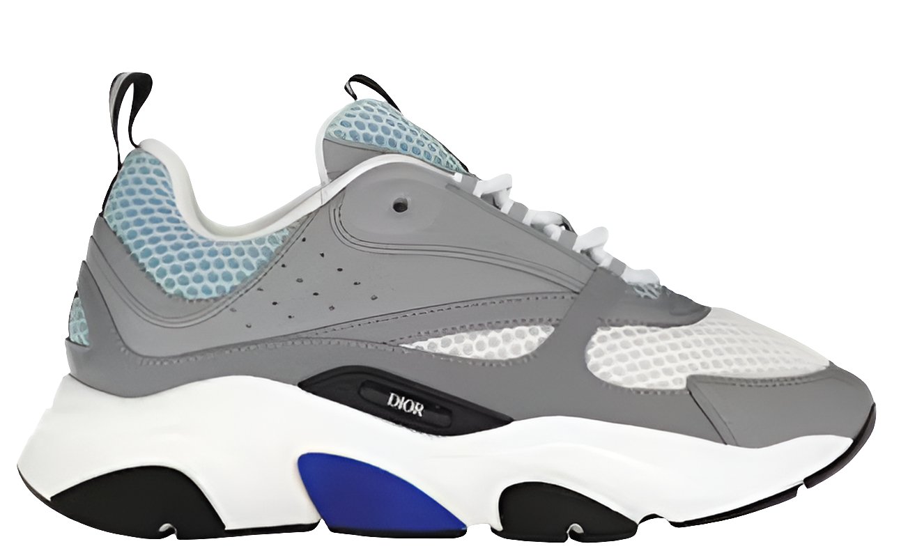 Dior B22 Grises